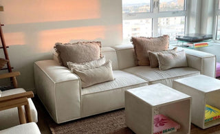 Plongée en Profondeur dans le Nettoyage de Printemps : Comment Prendre Soin du Tissu de Votre Sofa