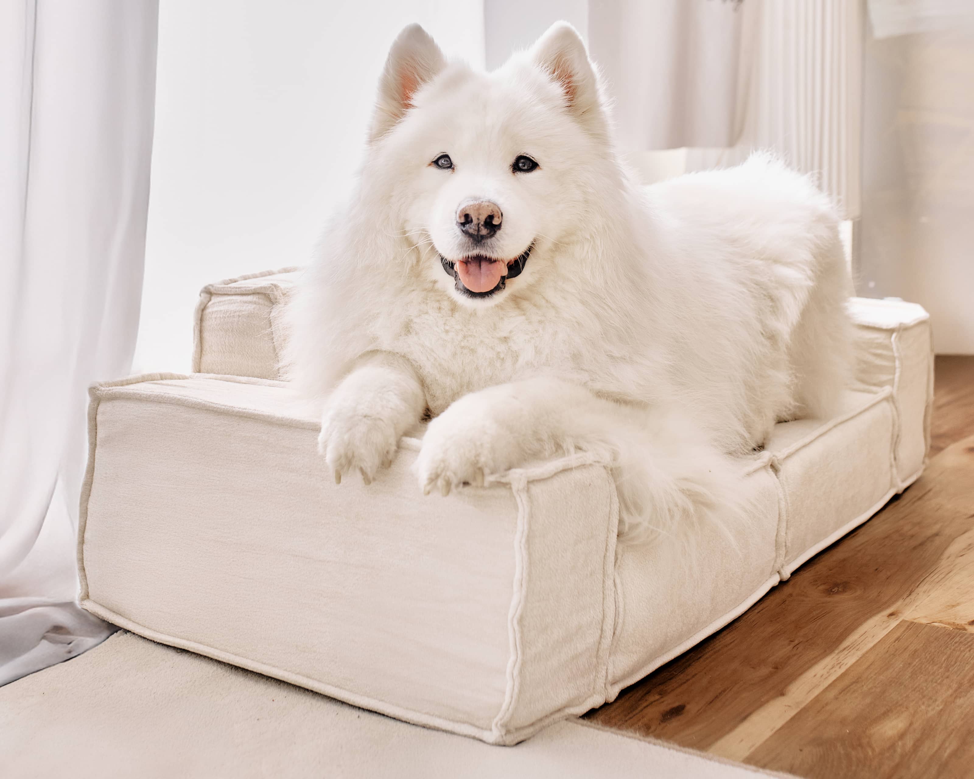 Lit pour Chien/Chat M1