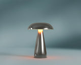 #color_silver