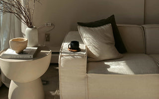 De l'Hibernation à l'Accueil : Préparer Votre Sofa pour les Invités du Printemps