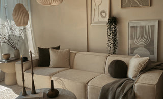Comment Décorer un Salon Double