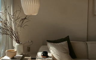 Comment Décorer un Long Salon