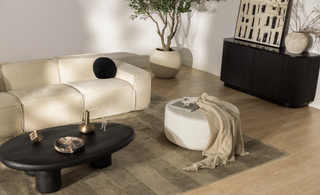Comment Disposer les Meubles dans un Salon Long et Étroit