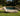 Solaris Outdoor Collection