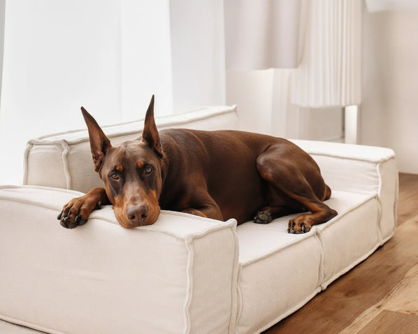 Lit pour Chien/Chat M1