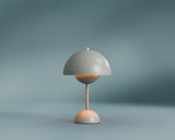#color_gray