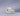 #color_comet-ivory