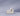 #color_comet-ivory