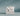 #color_comet-ivory